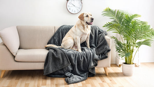 Waterproof Blankets for Pets